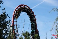 Amazing America Xvii 50 Thrills Of Grey Befreite Lust In Kings Dominion Kirmesforum De