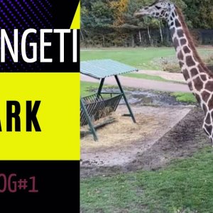 Serengeti Park 2022 - Ein Vlog #1 der keiner ist :)